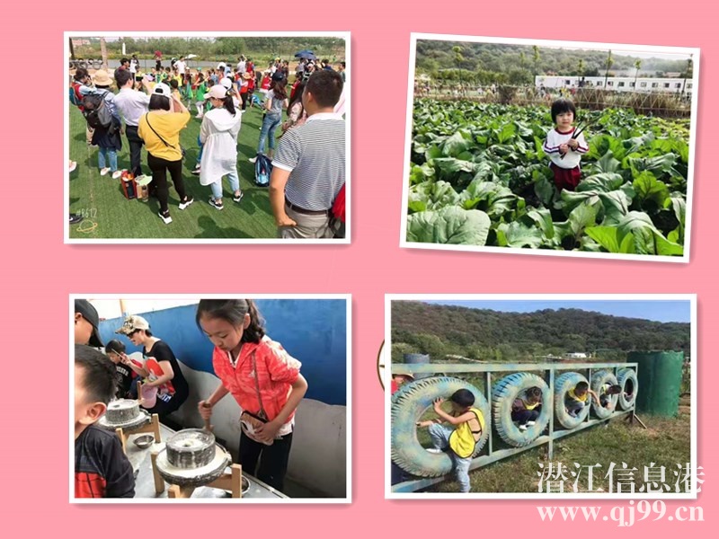 江夏秋季學(xué)生出游有家景點(diǎn)背景驚人早鳥(niǎo)速度多種類(lèi)型快來(lái)種草